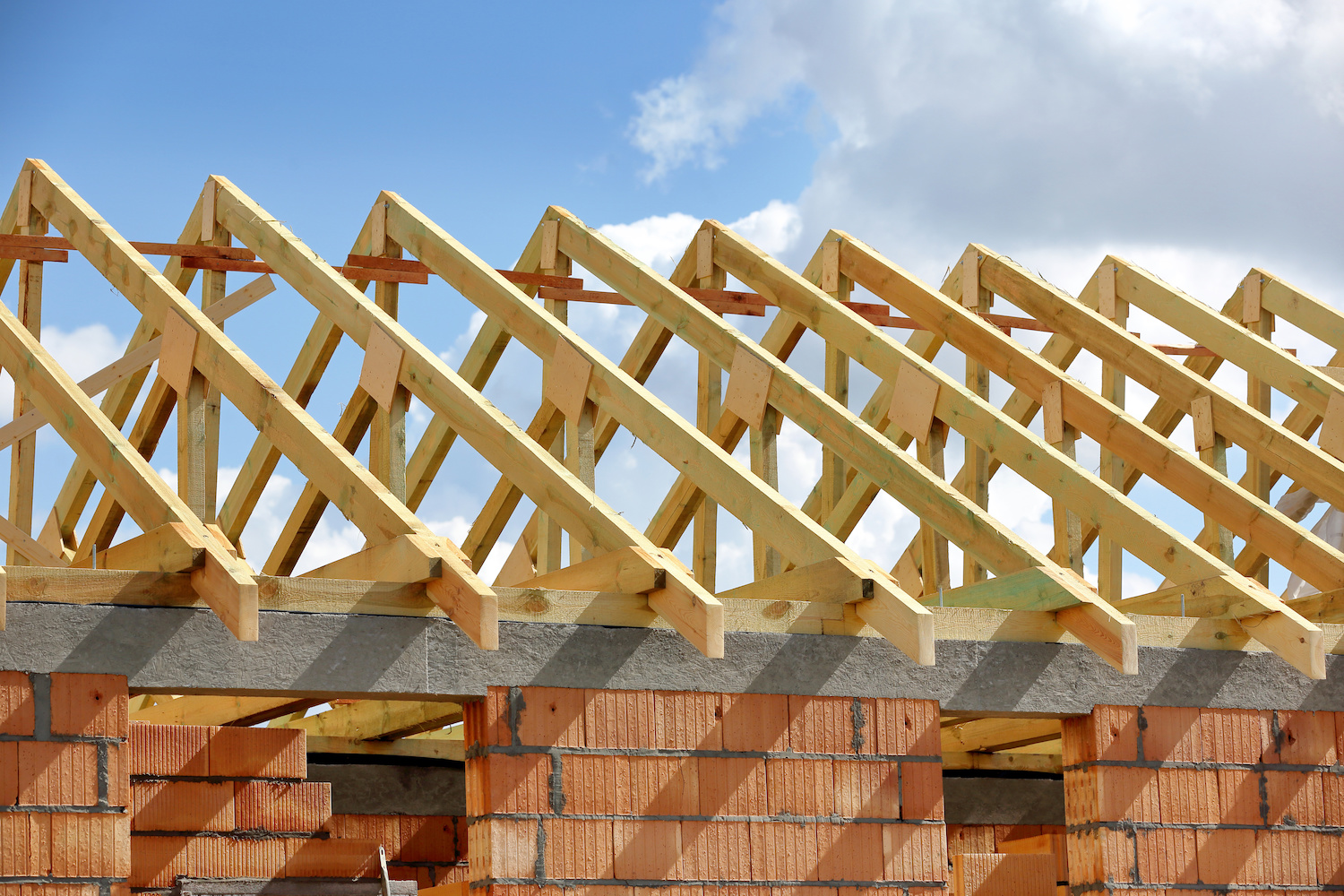 what is a trussed roof type